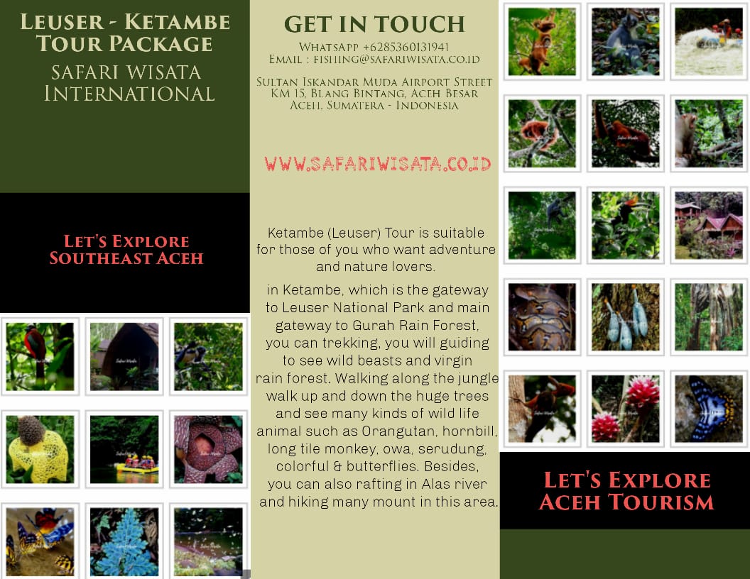Paket Wisata Gunung Leuser - Tour Ketambe & Taman Leuser Aceh Tenggara Paket Wisata Gunung Leuser - Tour Ketambe & Taman Leuser Aceh Tenggara