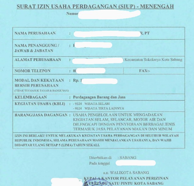 Jasa Seo Untuk Usaha Sewa Pesawat Pribadi Atau Jet