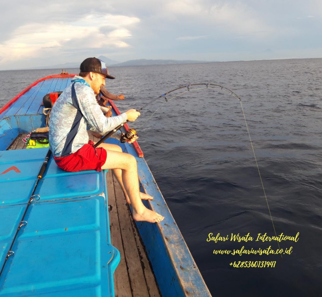 Jigging Fishing Technique  All you need to know about Jigging Angling  Method - SWI Fishing Charters - Safari Wisata International