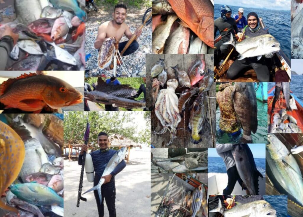 spearfishing di Indonesia
