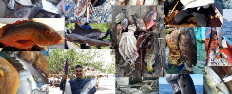 spearfishing di Indonesia
