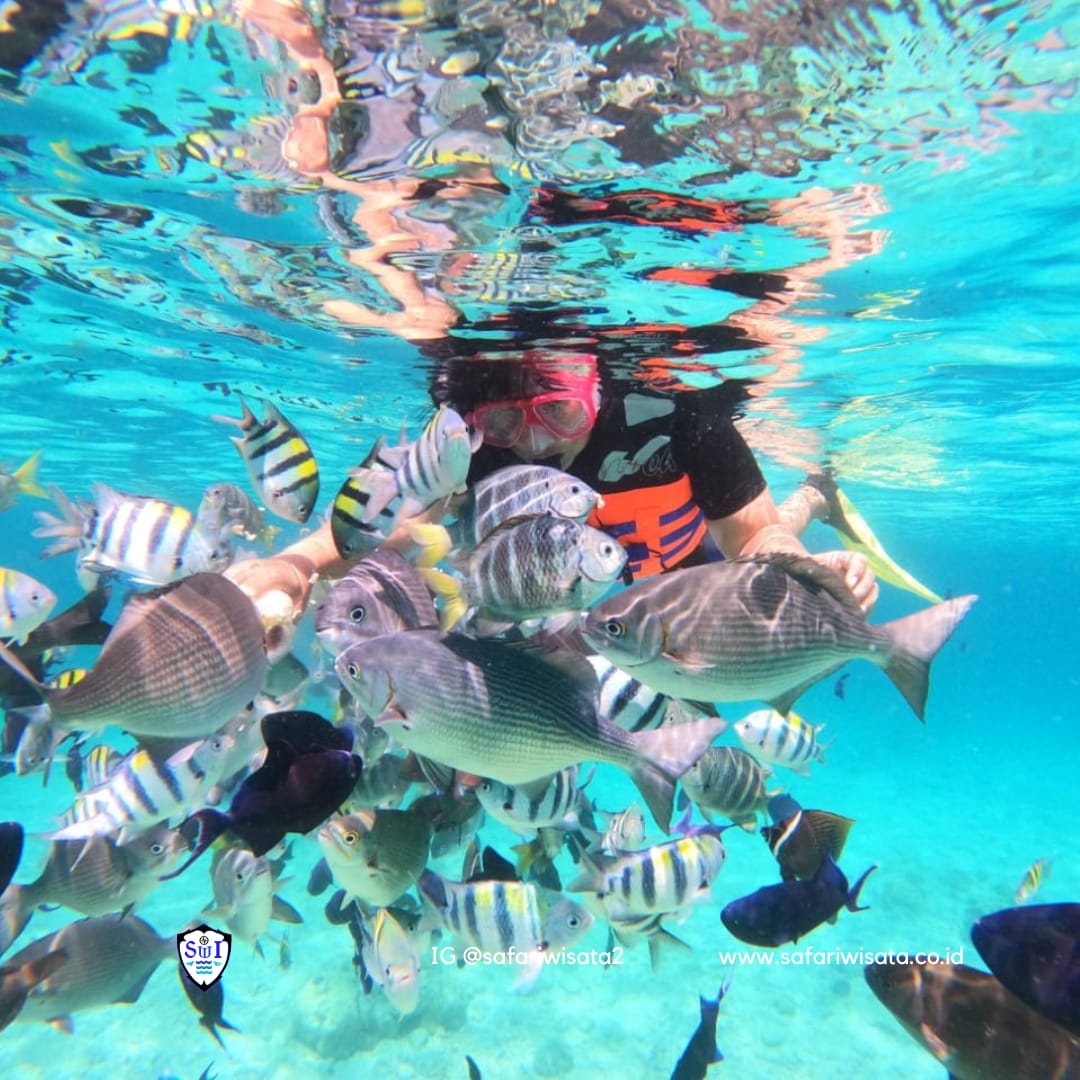 Tempat Mancing Ikan Liar di Selokan Seru untuk para Pecinta Fishing Tempat Mancing Ikan Liar di Selokan Seru untuk para Pecinta Fishing